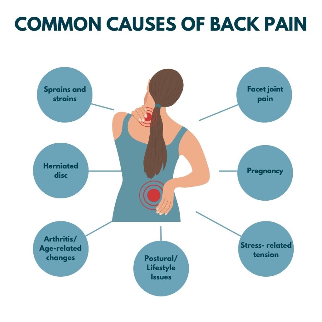 Common Causes Back Pain Essendon